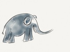 elephant
